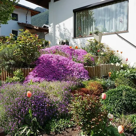 Apartment Haus Walser