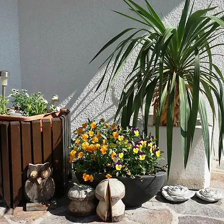 Apartmán Haus Walser *